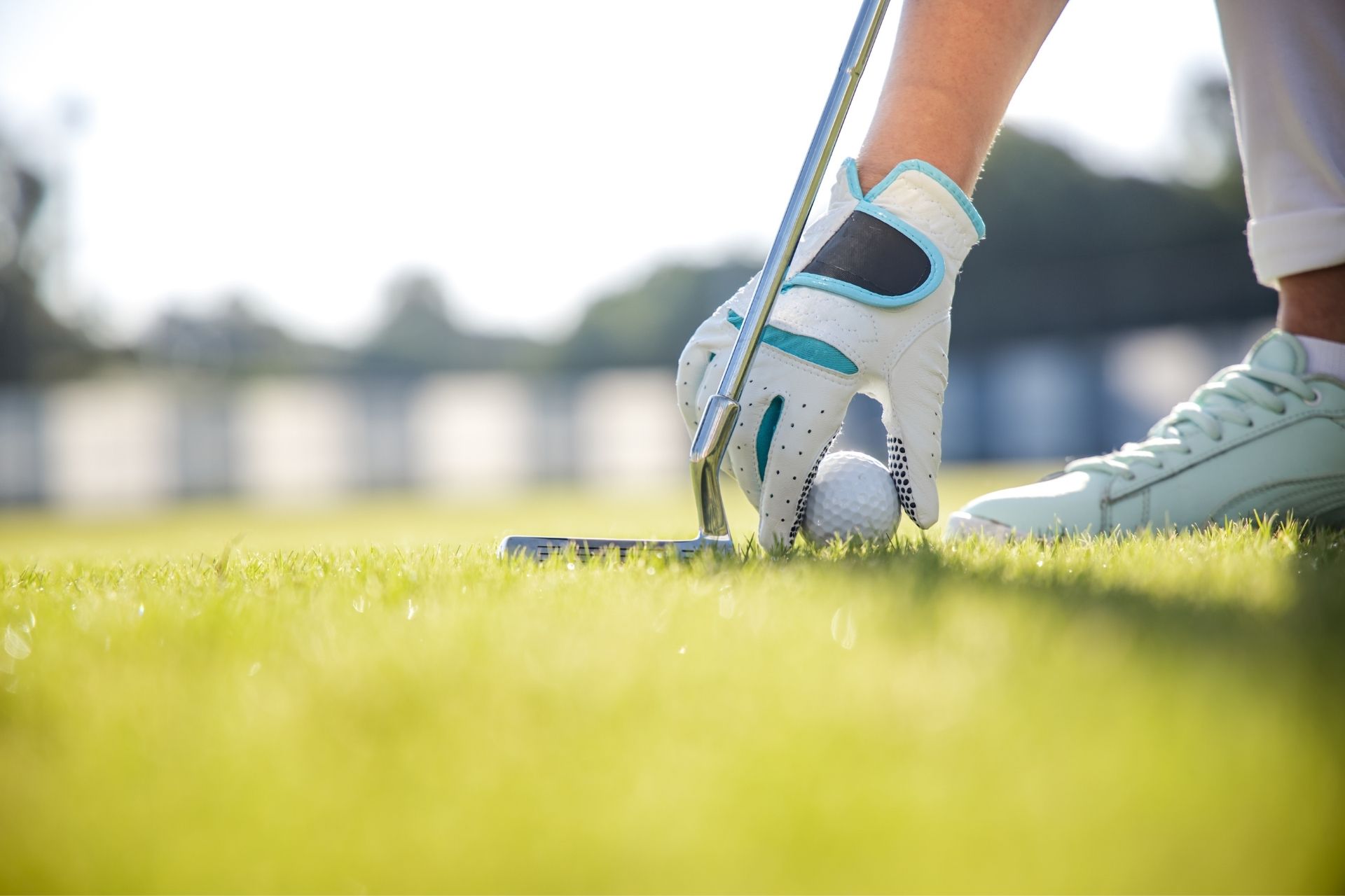 Golf Hand with Golf Ball on Grass Image