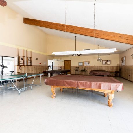 billiards, ping pong