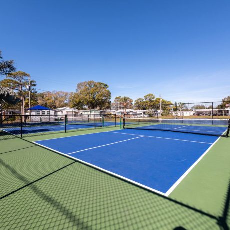 brand new pickleball courts